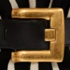 Medium Anthem bag in leather and zebra-print ponyskin